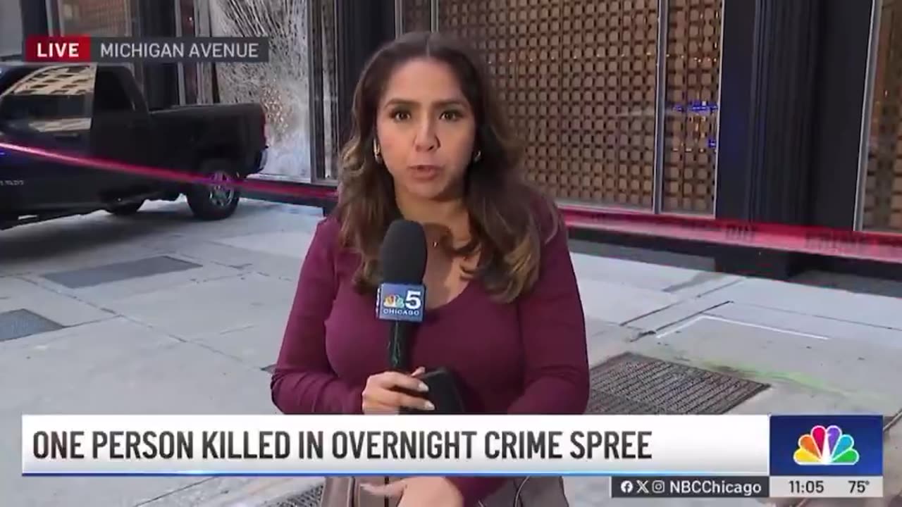 Horrific Felony Murder now after a Louis Vuitton smash-and-grab robbery in Chicago
