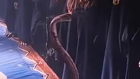 Harry Potter's Secret Power REVEALED! 🐍✨