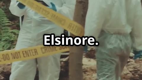 Mystery of the Decomposed Body in D4vd's Tesla