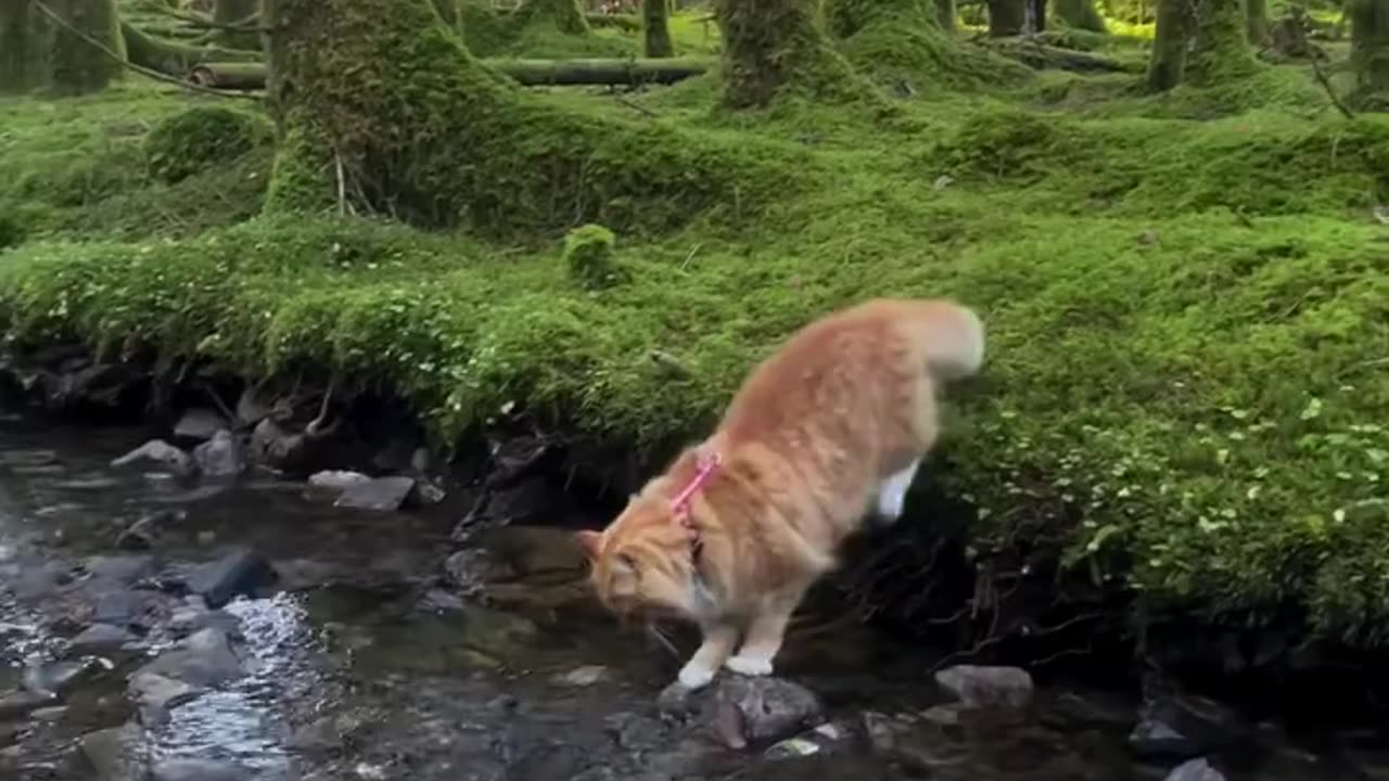 Enjoying the great outdoors