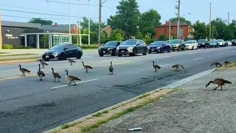 Welcome to Canada 🇨🇦