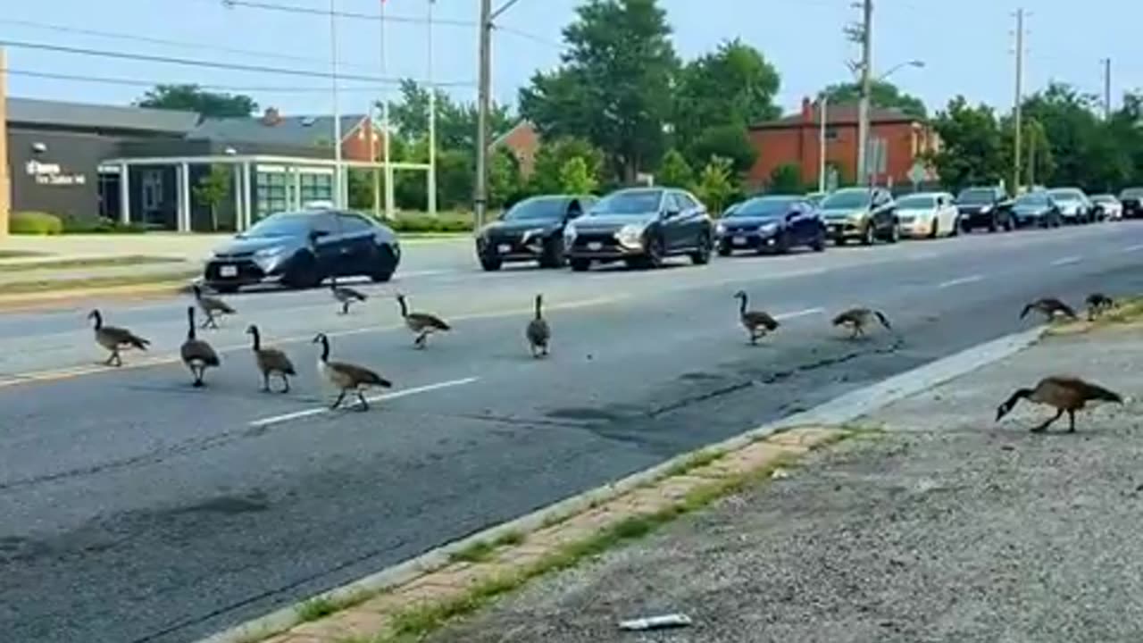 Welcome to Canada 🇨🇦