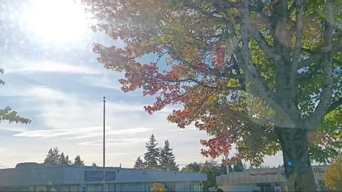 PRAY TRUMP STOPS THE TOXIC CHEMTRAILS