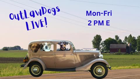 OutLawDogs LIVE! Ep 32 Trump doing Weekend Fake News Shows, The MEMES & Sovereignty