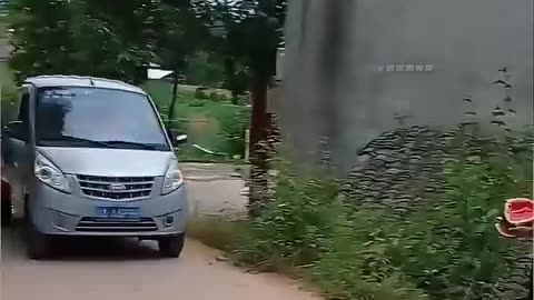 Epic Car Fails Caught on Camera | Ultimate Car Fails Compilation