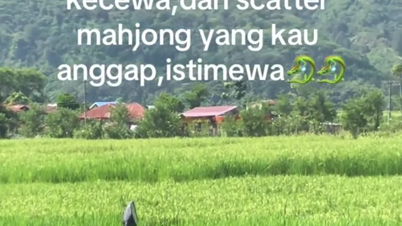 ROGTOTO