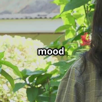 "Vitrafoxin Natural Supplement for Daily Energy & Wellness Support"