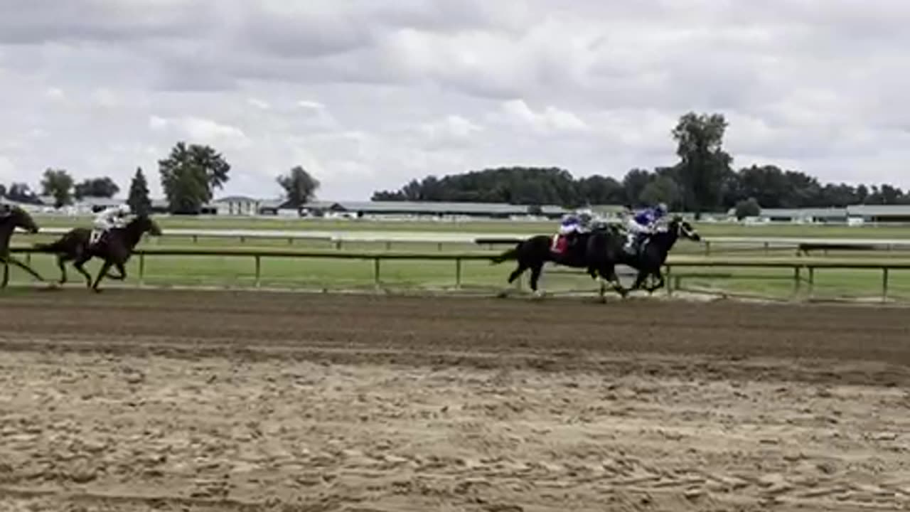 The Ponies