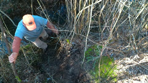 Christmas Eve 2025 - Bear Hunt - Recovery