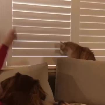 Things escalated pretty fast 😊