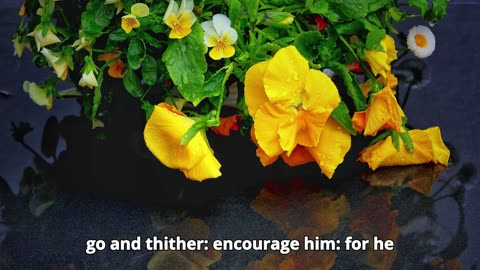 Deuteronomy Chapter 1