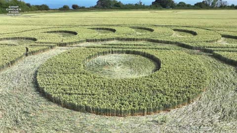Jurassic Coast Crop Circle | Lyme Regis, Devon | 28 June 2025 | Crop Circles From The Air