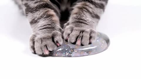 Kitten pinch mud, good decompression