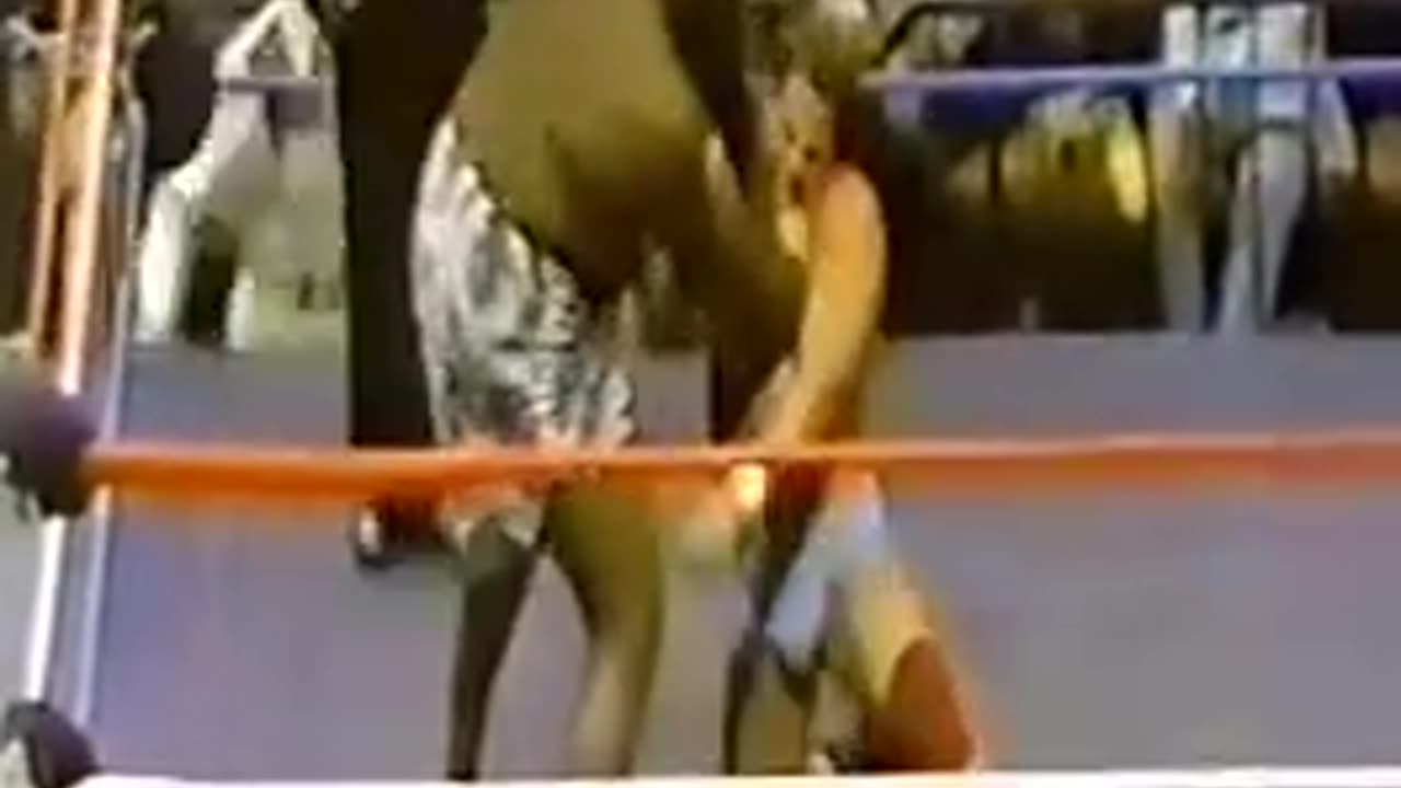 WWF Nassau Coliseum Sep 07 1984 **NOT ON PEACOCK**
