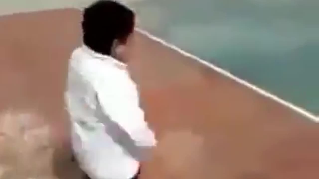 Funny videos
