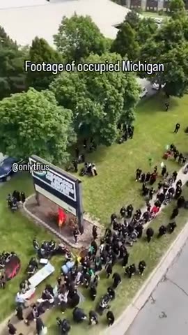 Somali shitskin nightmare thanks Jews - Michigan