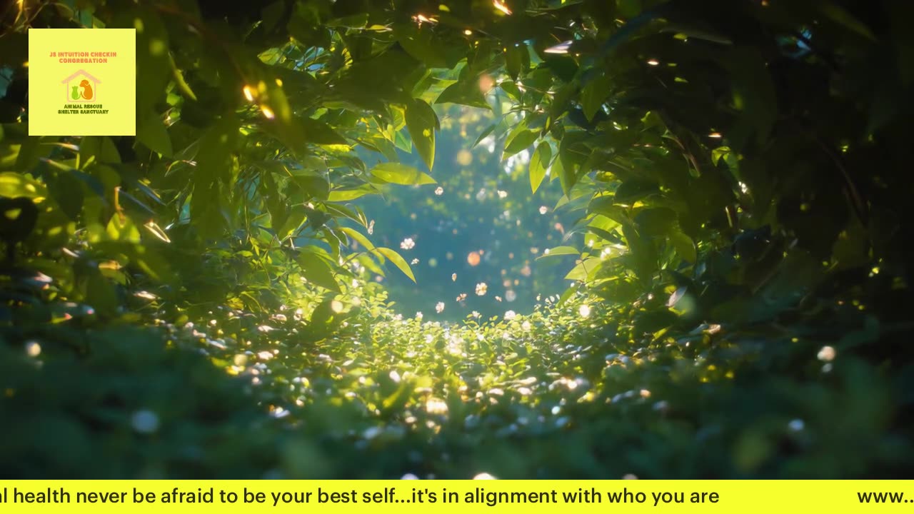 change in your surroundings declutter 4.28.25
