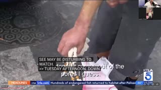 Movie Star Goes Rogue: The Biker Preacher Bringing Hope to Bars, Gangs & Skid Row”