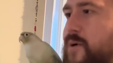 😂 Sass Bird is Unstoppable! | FunFM