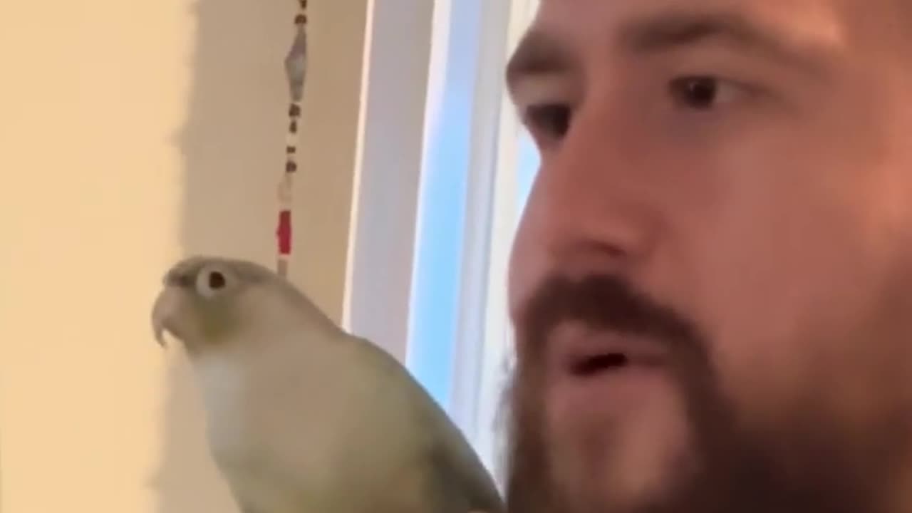 😂 Sass Bird is Unstoppable! | FunFM