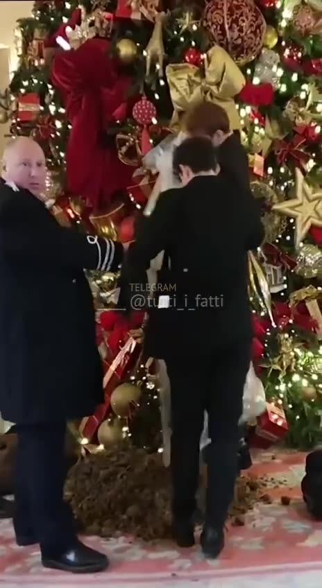 London: Manure under the Christmas tree at The Ritz in protest against the "super-rich"
