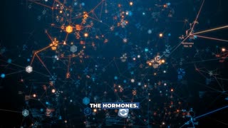 Most People Don't Have a Baseline for Normal with Stefan Hartmann, MPAS, PA-C