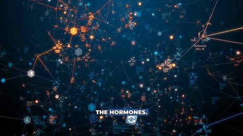 Most People Don't Have a Baseline for Normal with Stefan Hartmann, MPAS, PA-C