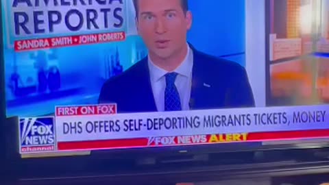 Whoops! Shitty of Chicago??