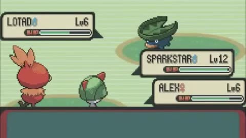 Lets Play Pokemon Emerald Part 5: Battles and Double Troubles