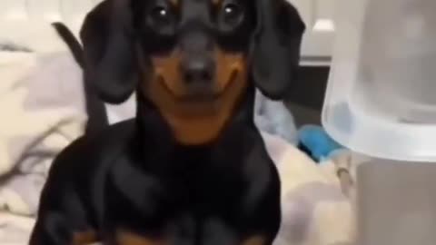 ❤❤ Best Smiles of All Time! | FunFM