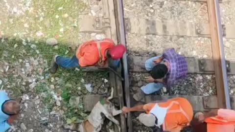 🤯✨ Heartwarming Rescue! Watch Railway Workers Save a Dog in Danger! | FeedMyCuriosity