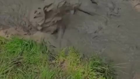 Mud Bath