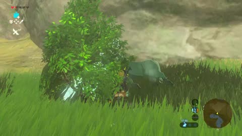 Botw: Defending his lady