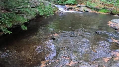 Cascade Pool