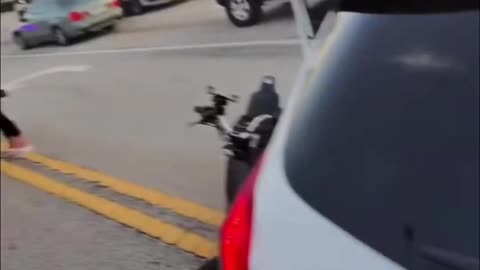 Drunk Illegal Alien Slams Into Old Lady Driving Her Dog, Then Good Samaritan Biker Helps Out