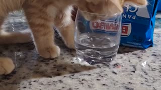 😂💧 You Won't Believe What Happens When He Just Wanted Water! | FunFM