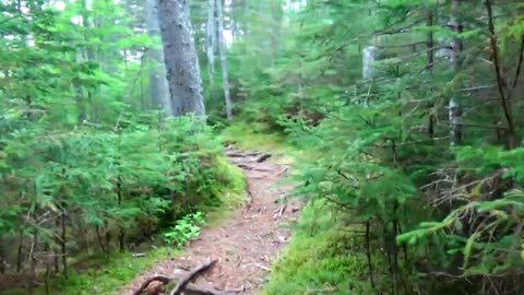 Take a Hike