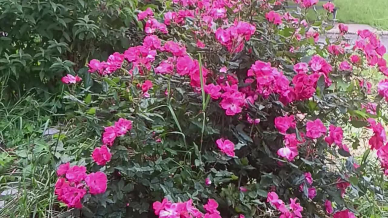 Spring colors