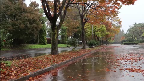 Relaxing rain