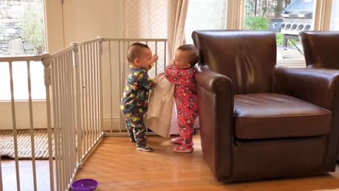 Try Not to Laugh Challenge With Funniest Babies Video