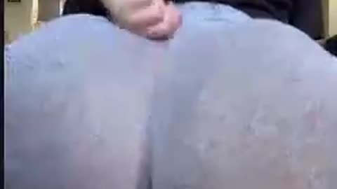 Thick goth girl twerking