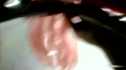 Thai police go undercover as lion dance crew to catch burglar