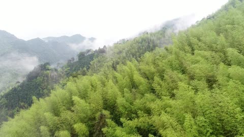 "Success doesn't just find you. You have to go out and get it."