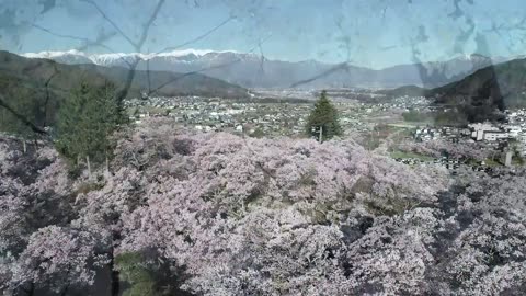 Natural Beauty to Enjoy