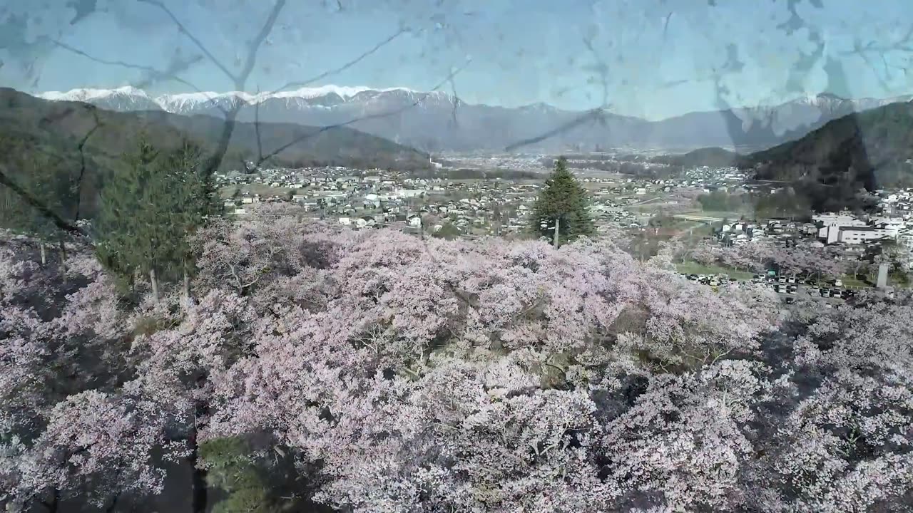 Natural Beauty to Enjoy