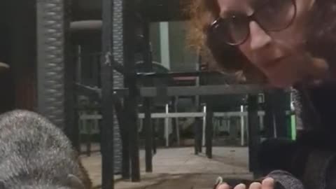 Welcome to Australia 🇦🇺