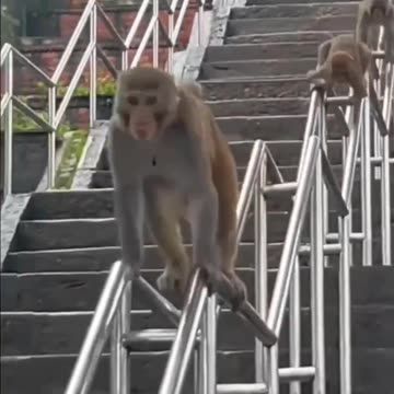 Easter long weekend yayyyyyy