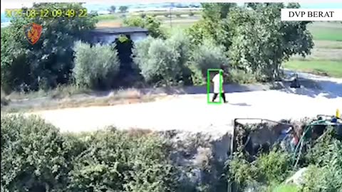 Ndezën zjarre në Berat dhe në Dimal, vihen në pranga 4 persona