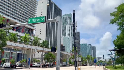 Best of Miami Walking Tour