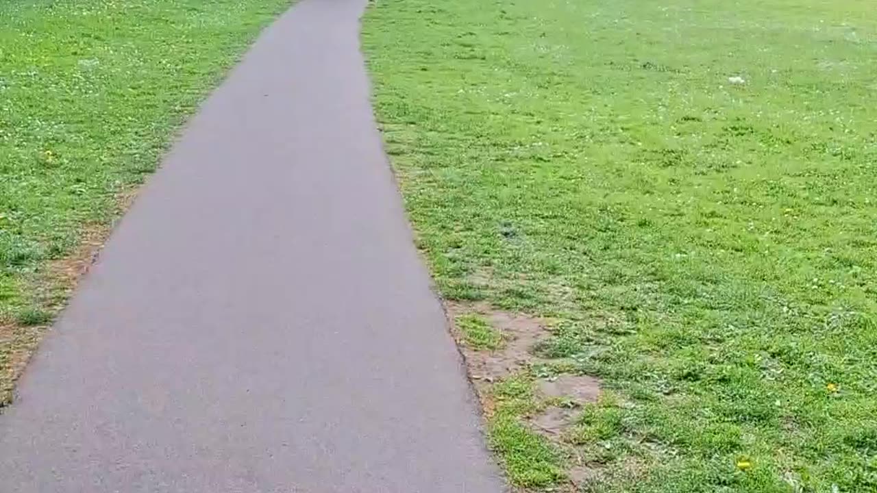 Swiftly Cycling Down a Hill